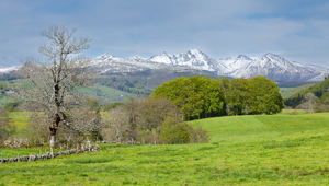 Déménageur Mont-de-Marsan